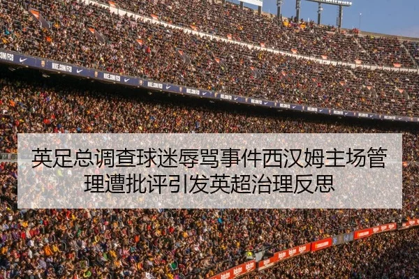 英足总调查球迷辱骂事件西汉姆主场管理遭批评引发英超治理反思
